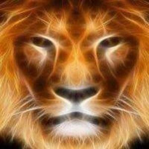 Meet your Posher, Clifford